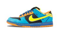 Dunk Low Pro SB 'Skate Or Die' 304292-073