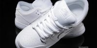 Dunk Low Pro 'White Ice' 304292-100