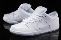 Dunk Low Pro 'White Ice' 304292-100