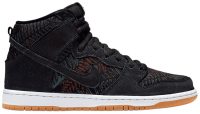 Dunk High Pro SB 'Rainforest' 305050-025