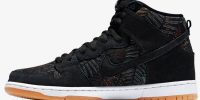 Dunk High Pro SB 'Rainforest' 305050-025