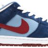 FTC x Dunk Low Premium SB 'Finally' 313170-463