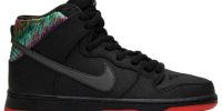 SPoT x SB Dunk High Pro 'Gasparilla' 313171-028