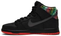 SPoT x SB Dunk High Pro 'Gasparilla' 313171-028