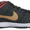 Dunk Low Premium SB QS 'Walk Of Fame' 504750-076