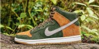 Homegrown x SB Dunk High PRM 'Sequoia' 839693-302