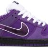 Concepts x Dunk Low SB 'Purple Lobster' BV1310-555