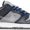 Dunk Low Pro SB 'Crater' CT2224-001