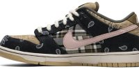 Travis Scott x Dunk Low Premium QS SB 'Cactus Jack' CT5053-001