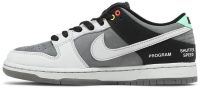 Dunk Low SB 'Camcorder' CV1659-001