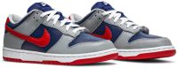 Dunk Low Retro 'Samba' 2020 CZ2667-400