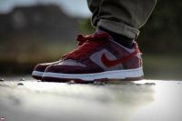 Dunk Low Retro Vol. 1 SP 'Plum' Cu1726-500