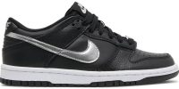 Dunk Low Pro SB 'Black Silver' DC9560-001