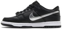 Dunk Low Pro SB 'Black Silver' DC9560-001