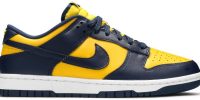 Dunk Low 'Michigan' 2021 DD1391-700