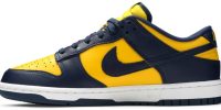 Dunk Low 'Michigan' 2021 DD1391-700