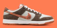 Crushed DC x Dunk Low SB DH7782-001