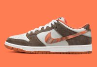 Crushed DC x Dunk Low SB DH7782-001