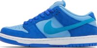 Dunk Low Pro SB 'Fruity Pack-Blue Raspberry' DM0807-400