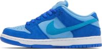 Dunk Low Pro SB 'Fruity Pack-Blue Raspberry' DM0807-400