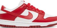 Wmns Dunk Low Next Nature 'Gym Red' DN1431-101