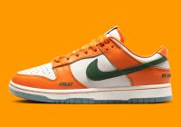 Florida A&M University x Dunk Low 'Rattlers' DR6188-800