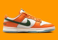 Florida A&M University x Dunk Low 'Rattlers' DR6188-800