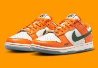 Florida A&M University x Dunk Low 'Rattlers' DR6188-800