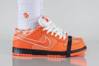 Concepts x Dunk Low SB 'Orange Lobster' FD8776-800